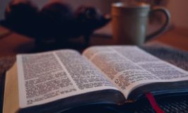 Just Reading the Bible